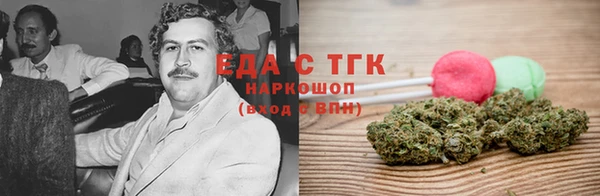 твердый Магас