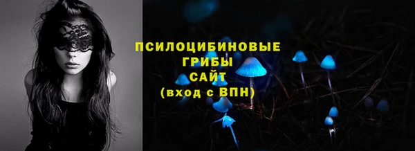ГАЛЛЮЦИНОГЕННЫЕ ГРИБЫ Алексеевка