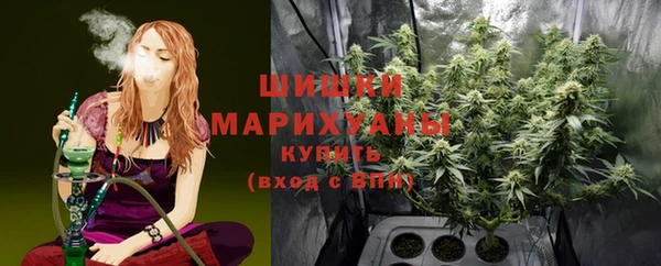 spice Абаза